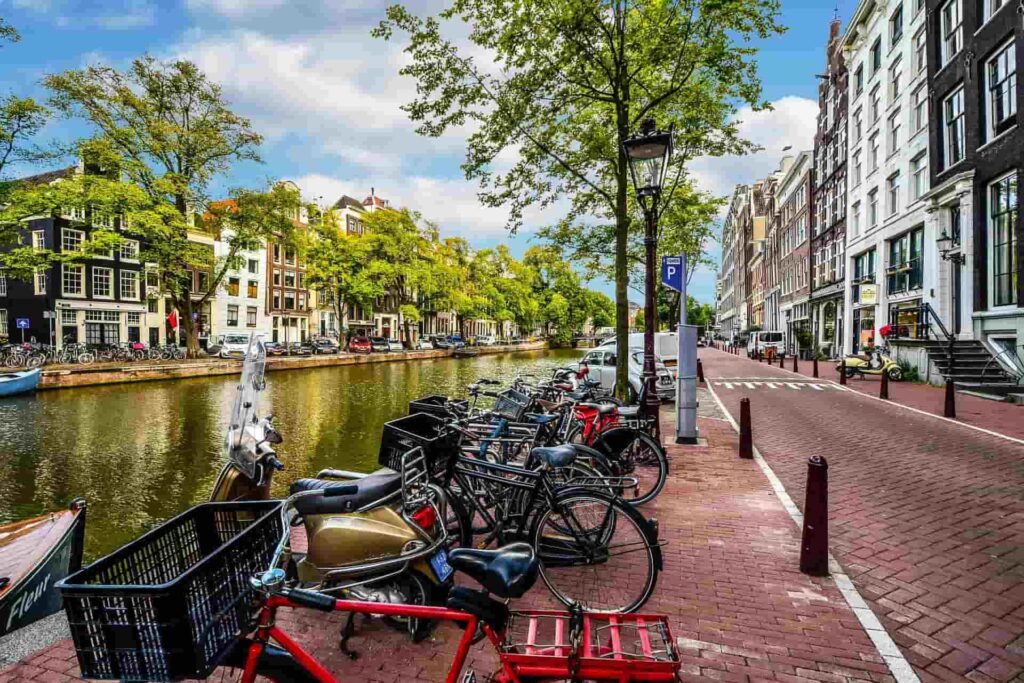Các ngành dễ định cư ở Hà Lan 3